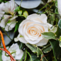 Pure Passion Blumenstrauß zum Valentinstag by Blumen Mitzi Wien